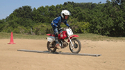 �ʐ^����40